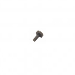 Safety bolt (CP020052/220)